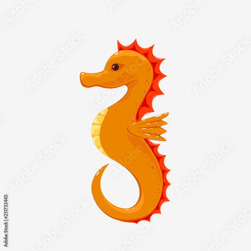 Seahorse on White Background