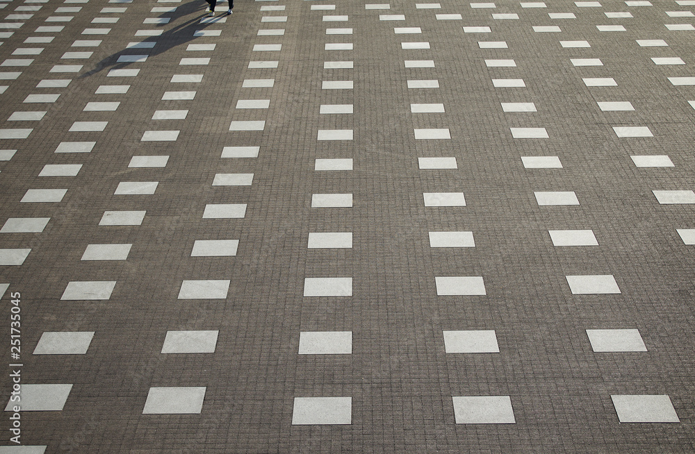 Fototapeta premium Scene of the open space of the day when it was fine