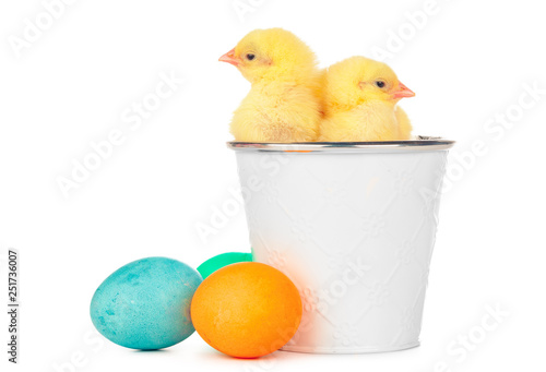 Easter colorful eggs and cute little chicken isolated on white © NewFabrika