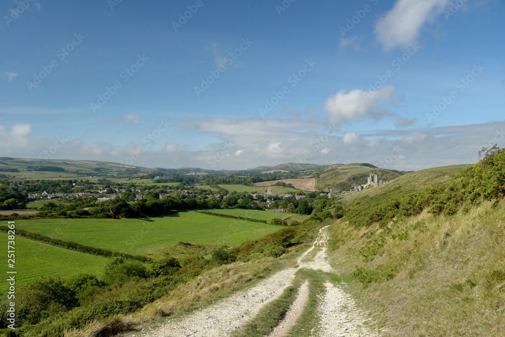 Fototapeta premium Path over Ballard Down above Corfe in Dorset
