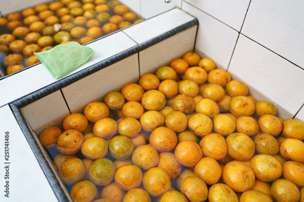 Washing oranges before eating.