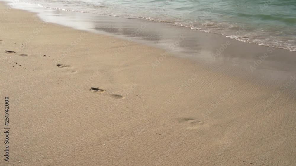 The sea wave slowly rolls onto the sandy shore The sea wave slowly rolls onto the sandy shore