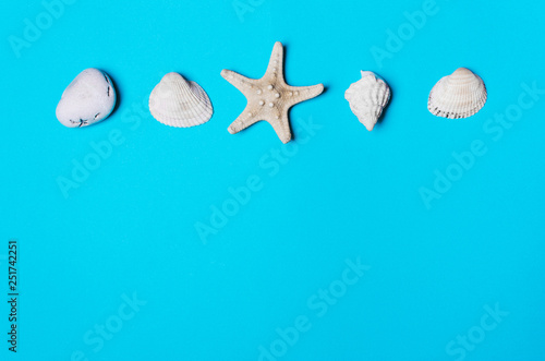 Shell, pebble, starfish on a blue background.