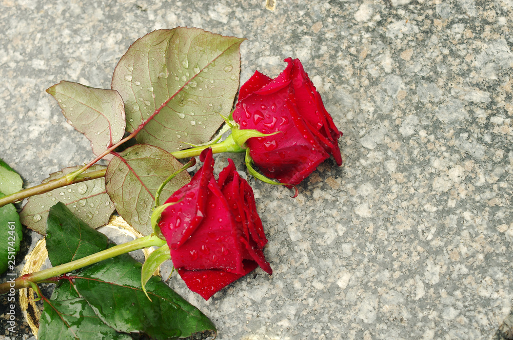 Two red roses on a granite slab. The memory of the departed Two red roses on a granite slab. The memory of the departed