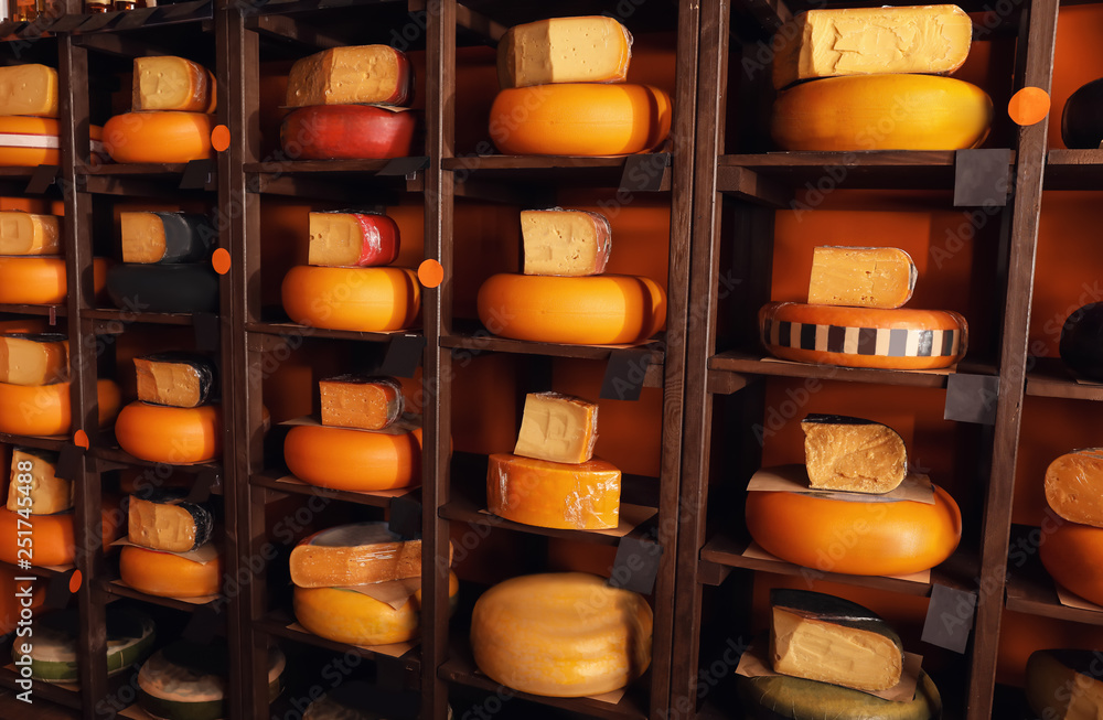 Assortment of tasty cheese on shelves in store