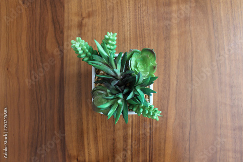 多肉植物のオブジェ