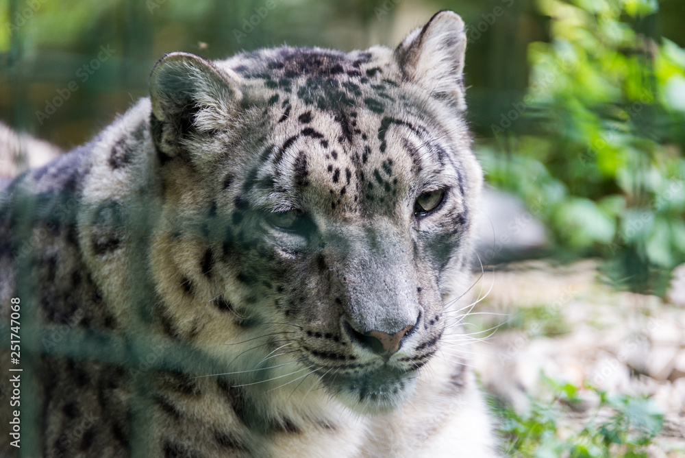 Zoo Veszprém in Hungary and Budapest Zoo Veszprém in Hungary and Budapest