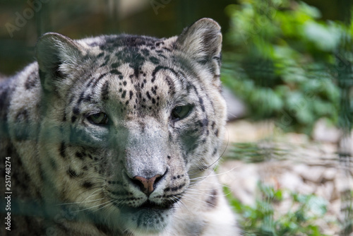 Zoo Veszpr  m in Hungary and Budapest