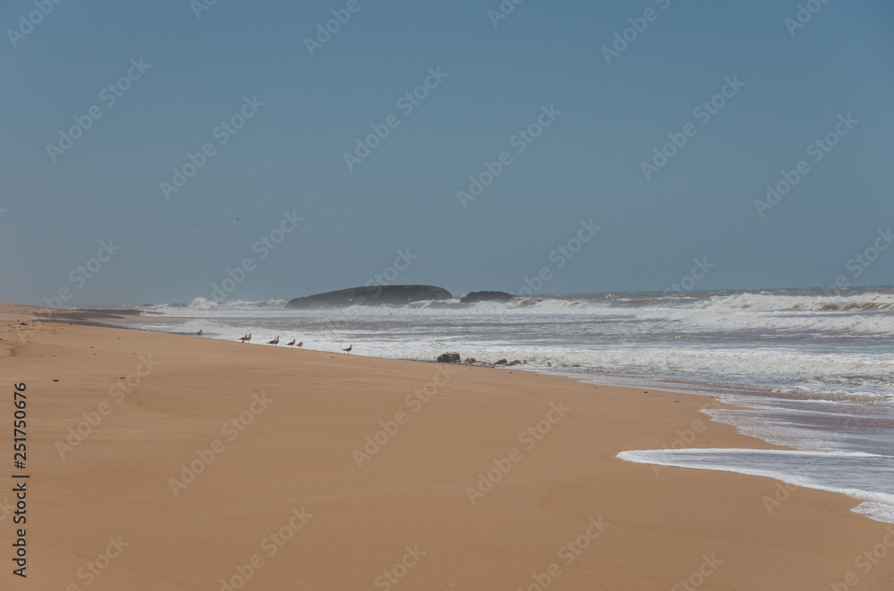 Atlantic ocean sand beach on central Morocco, near Safi town.