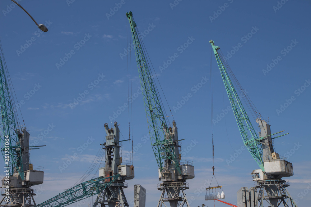 Cargo ship-lifting cranes in the harbor, industrial zone