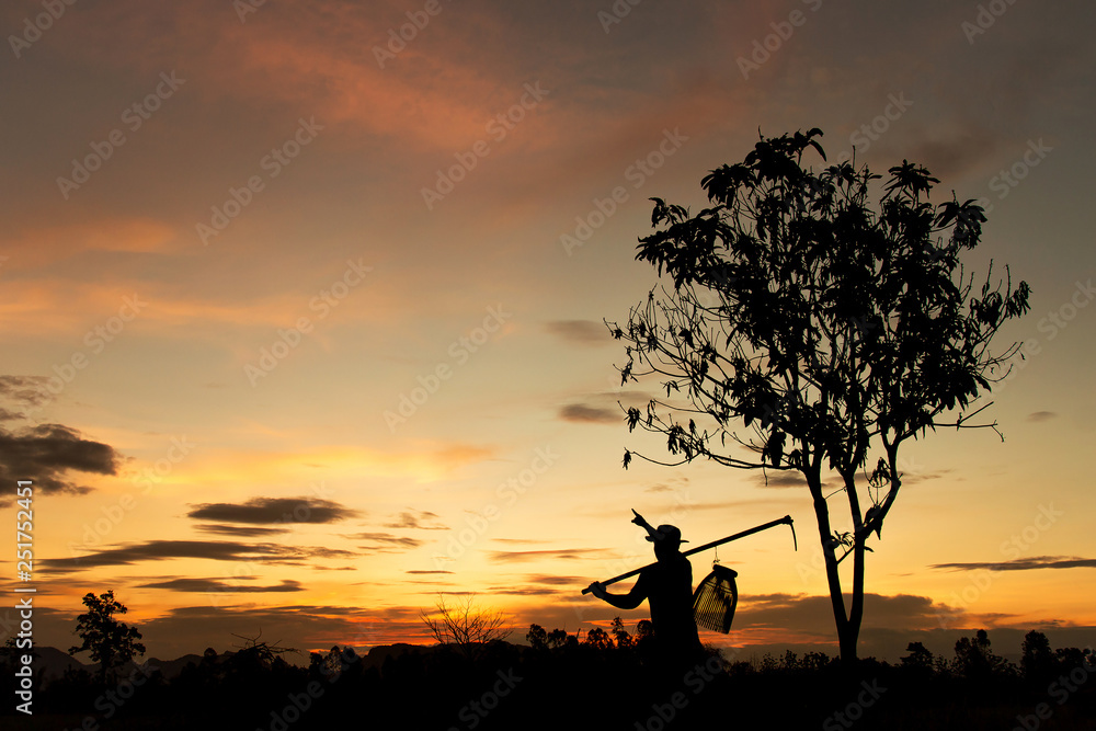farmer pointing at sky silhouette in farm 