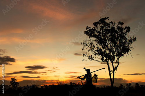farmer pointing at sky silhouette in farm 