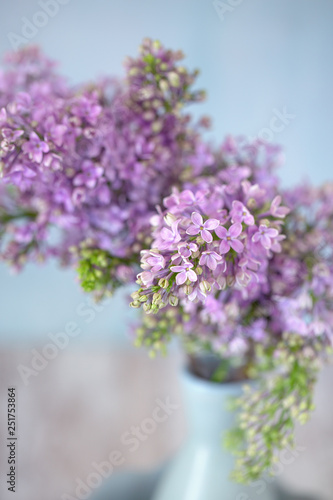 Close-up floral composition with a lilacs. Pastel colors.