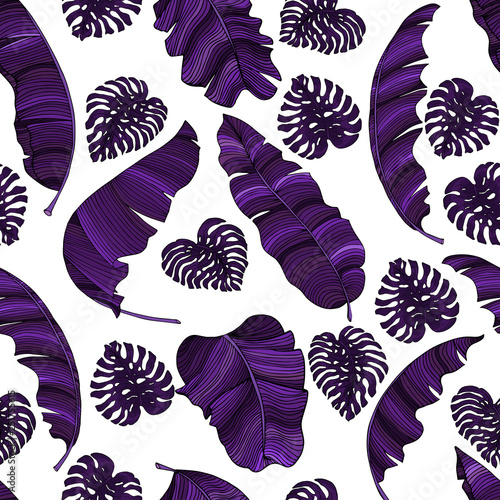 Seamless pattern of exotic purple banana leaves and monstera leaves isolated on transparent background. Decorative image with tropical foliage. Vector EPS 8 illustration.