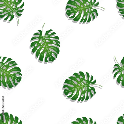 pattern of palm leaves