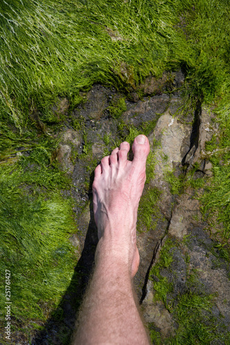 Dinosaur footprint versus human foot photo