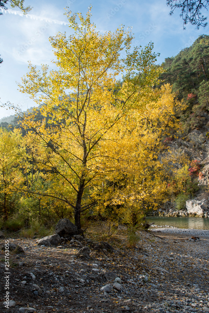 verdon