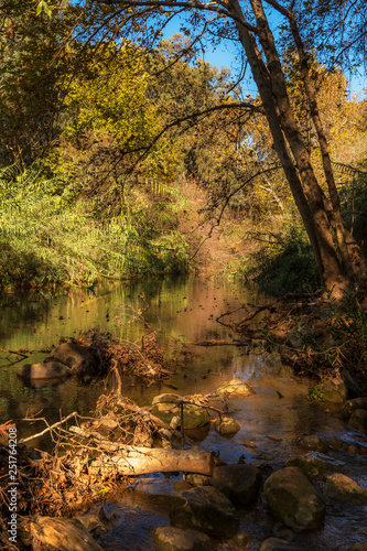 Snir nature reserve, Israel photo