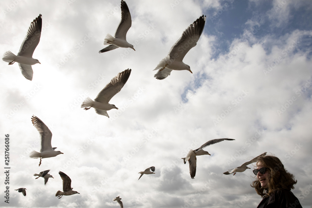 Obraz premium Young woman feeding seagulls 
