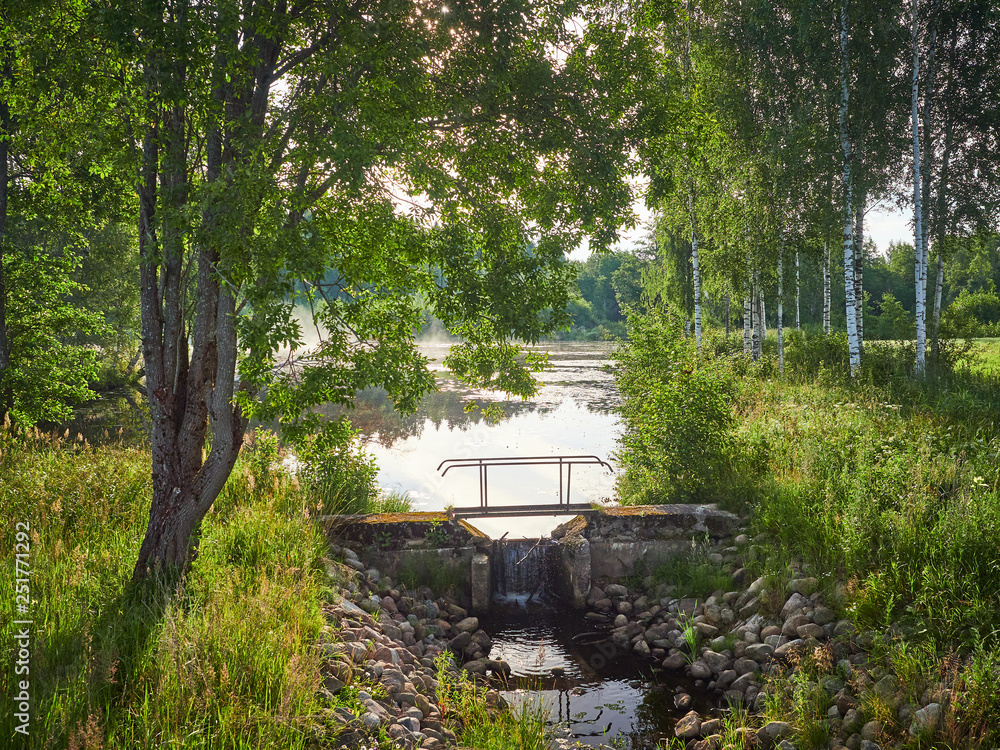 Summer evening landscape of the forest with a wooden footbridge across a small stream flowing among bushes and trees. Reflection of sun  in the water beside the tree. Beautiful ethereal backlight.