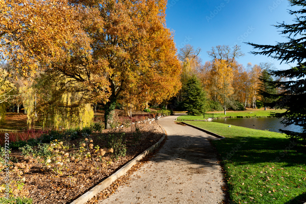 Fototapeta premium Autumn Colours