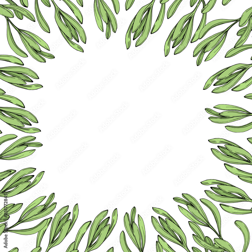Vector Jungle botanical succulent flower. Engraved ink art illustration. Frame border ornament square. Vector Jungle botanical succulent flower. Engraved ink art illustration. Frame border ornament square.