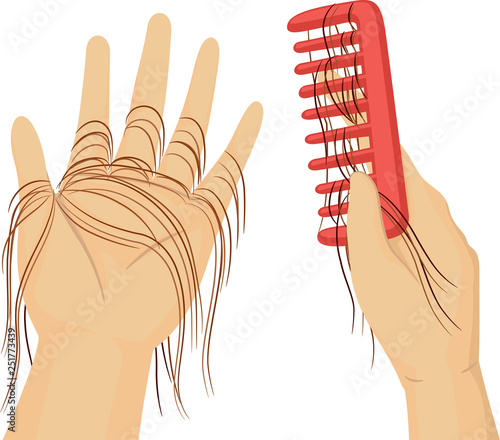 Hands Comb Hair Fall Illustration