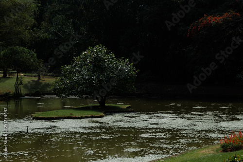 lake in the park sri lanka