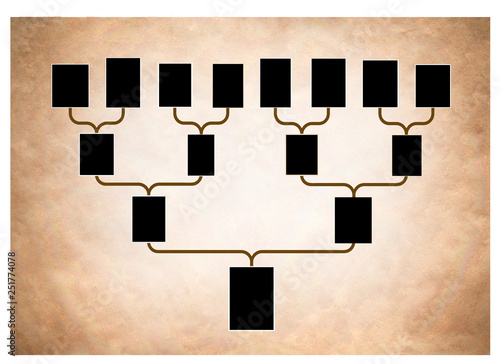 Photography Tree of family history