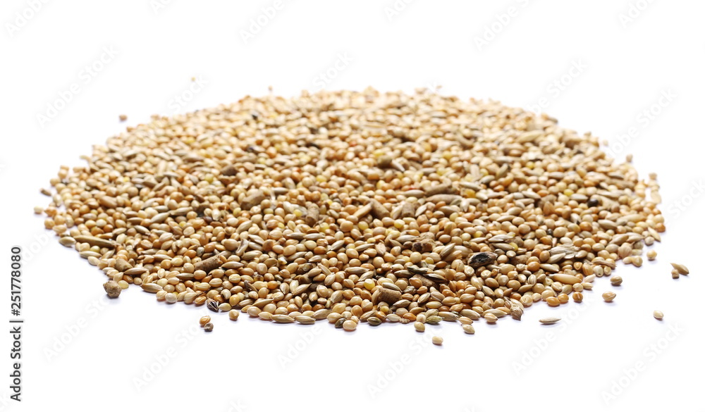 Mixed bird seeds, millet pile isolated on white background Mixed bird seeds, millet pile isolated on white background