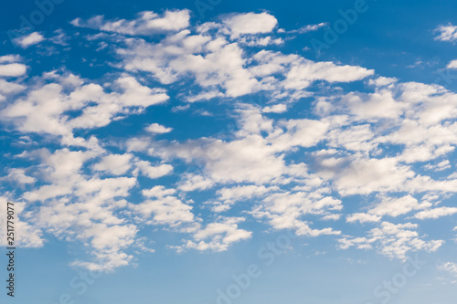 Fototapeta Naklejka Na Ścianę i Meble -  light fluffy clouds on a bright blue sky