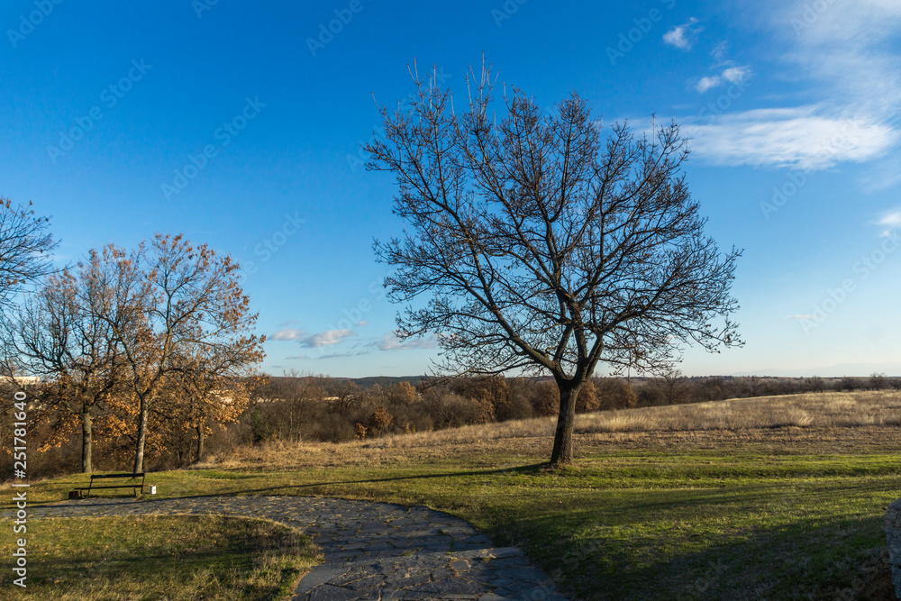 Obraz premium Sunset view of park in town of Hisarya, Plovdiv Region, Bulgaria