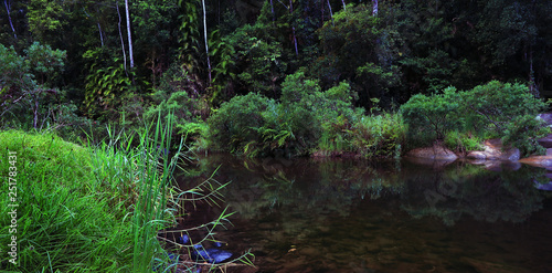  Pristine magnificent river runs  along  a beautiful tropical rainforest. The South Johnstone River in the Misty Mountains. Wooroonooran National Park, Far North Queensland, Australia. Image.  photo