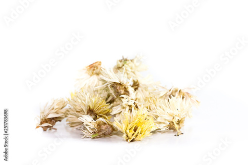 Chrysanthemum Close up white background