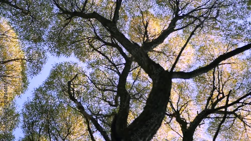 Beautiful crown treasure against the blue sky. HD, 1920x1080, slow motion Beautiful crown treasure against the blue sky. HD, 1920x1080, slow motion