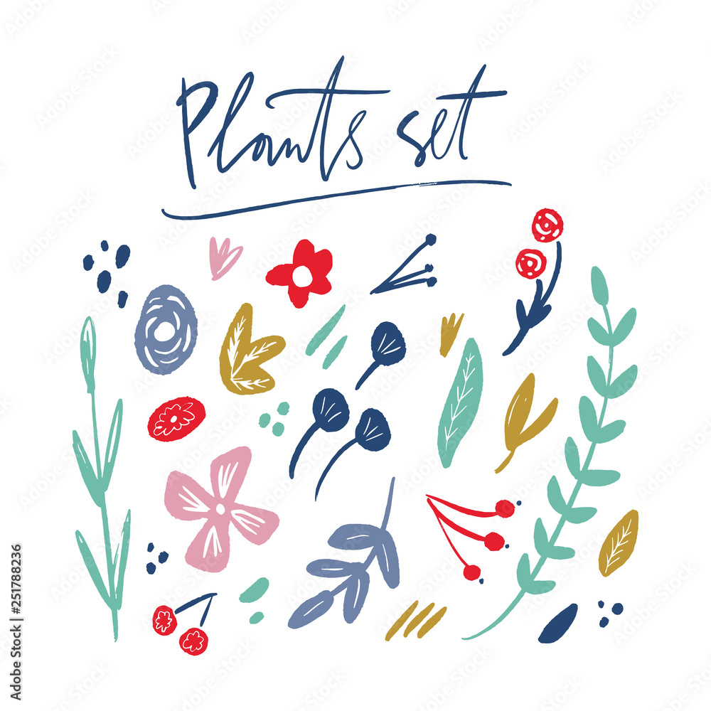 Flowers, leaves and branches vector floral set. Pastel spring and summer bundle