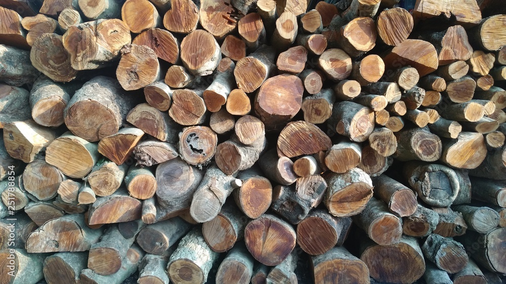 Closeup view of end cut wood tree section with cracks and annual rings Closeup view of end cut wood tree section with cracks and annual rings