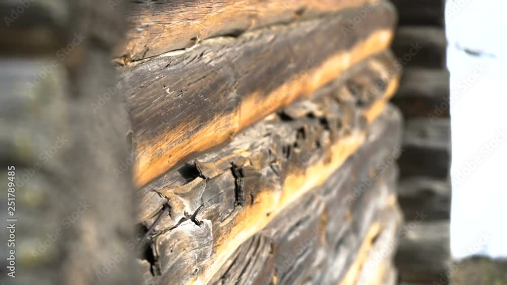 The wall of a log house after fire. Old country house made of logs. life in the village. The wall of a log house after fire. Old country house made of logs. life in the village.