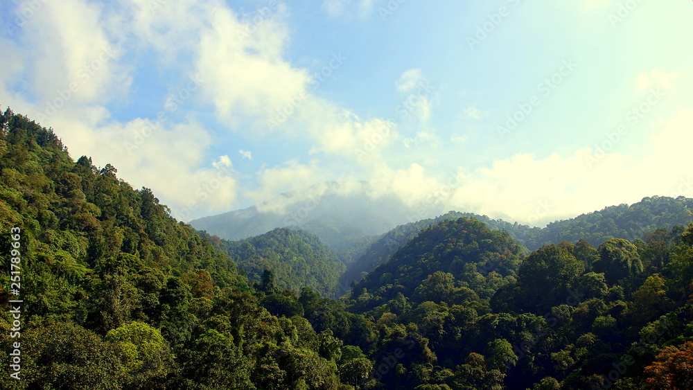 Obraz premium Blick von Hängebrücke über tropischen Regenwald mit Bergen, blauem Himmel und Wolken in Indonesien