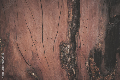 Fototapeta Naklejka Na Ścianę i Meble -  wood texture background