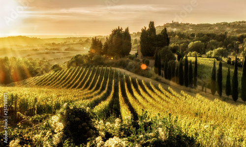 Tuscany, field, landscape, nature, italy