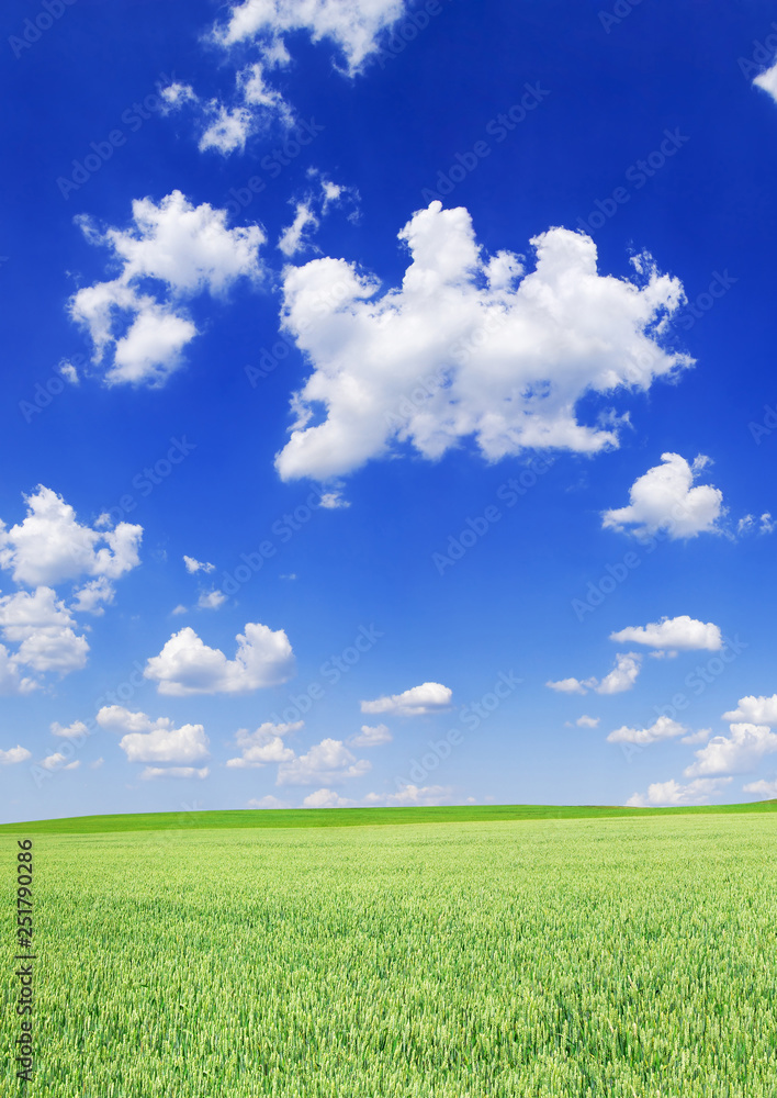 Idyllic view, green field and blue sky with white clouds Idyllic view, green field and blue sky with white clouds