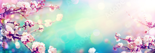Fototapeta Wiosna z paletą kolorów trendów - kwitnące wiosną - efekt Vintage