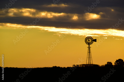 Landscape with windmill at sunset, Pampas, Patagonia,Argentina