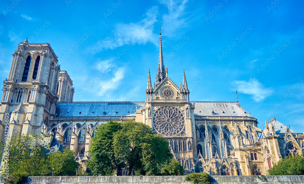 Obraz premium cathedral notre dame