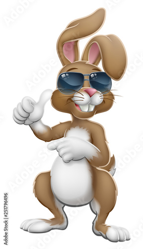 Easter bunny rabbit cartoon character in cool sunglasses or shades giving a thumbs up and pointing