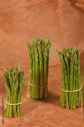 studio images of green asparagus