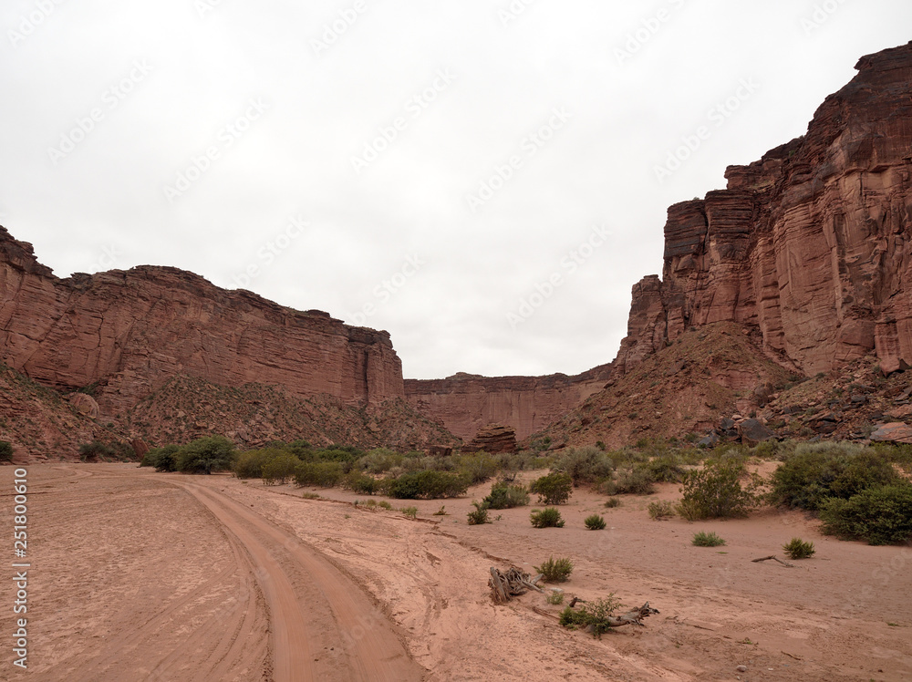 Naklejka premium Talampaya National Park, located in the east/center of La Rioja Province, Argentina. It was designated a UNESCO World Heritage Site in 2000.