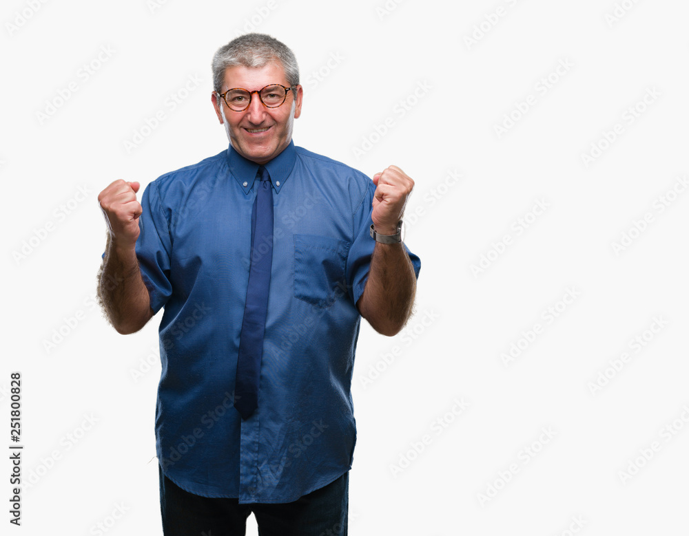 Handsome senior business man over isolated background celebrating surprised and amazed for success with arms raised and open eyes. Winner concept. Handsome senior business man over isolated background celebrating surprised and amazed for success with arms raised and open eyes. Winner concept.