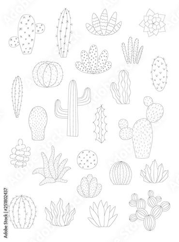 Vector collection of cacti silhouette. Hand-drawn illustration of a cactus in scandinavian style. Summer set for decor, nursery, card, home, interior, print, textile, poster, children, baby
